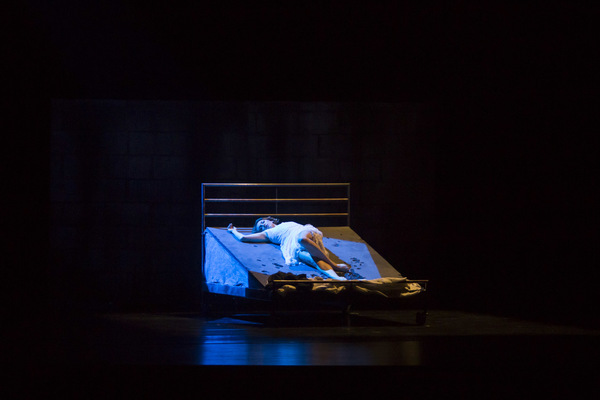 Photo Flash: Stunning Shots of Ricky Ubeda and More in SHAPING SOUND at the Beacon Image