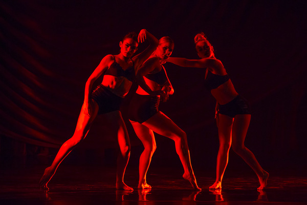 Photo Flash: Stunning Shots of Ricky Ubeda and More in SHAPING SOUND at the Beacon Image