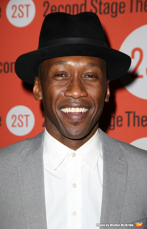 Mahershala Ali  Photo