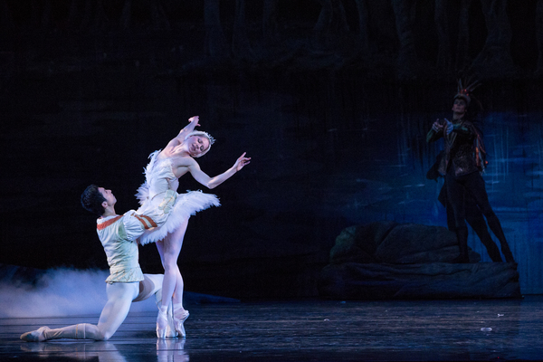 Photo Flash: First Look at Kansas City Ballet's SWAN LAKE, Opening Tonight Image