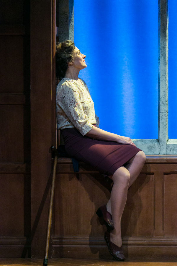 Photo Flash: First Look at Stephen Boxer, Denis Lill and More in the UK Tour of SHADOWLANDS 