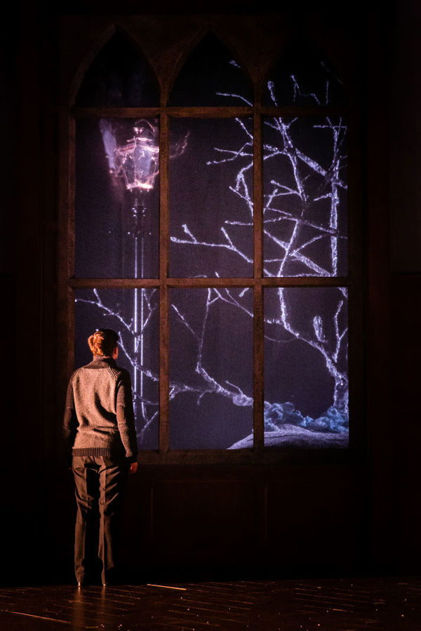 Photo Flash: First Look at Stephen Boxer, Denis Lill and More in the UK Tour of SHADOWLANDS Image