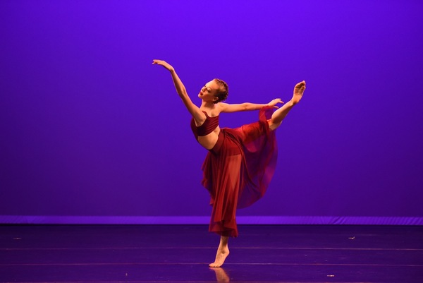 Photo Flash: 120 Talented Young Performers Hit the Stage at 2016 FLORIDA YOUTH DANCE GALA 