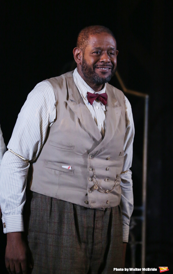 Photo Coverage: Forest Whitaker & Frank Wood Take Opening Night Bows in HUGHIE! Image