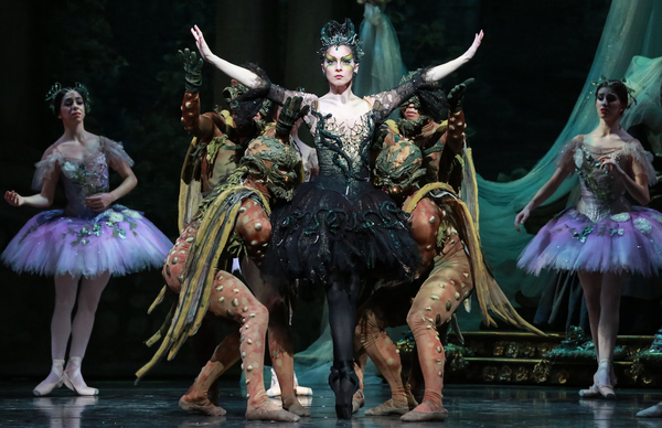 Photo Flash: Houston Ballet Revives THE SLEEPING BEAUTY Image