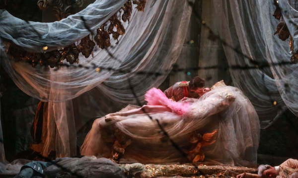 Photo Flash: Houston Ballet Revives THE SLEEPING BEAUTY Image