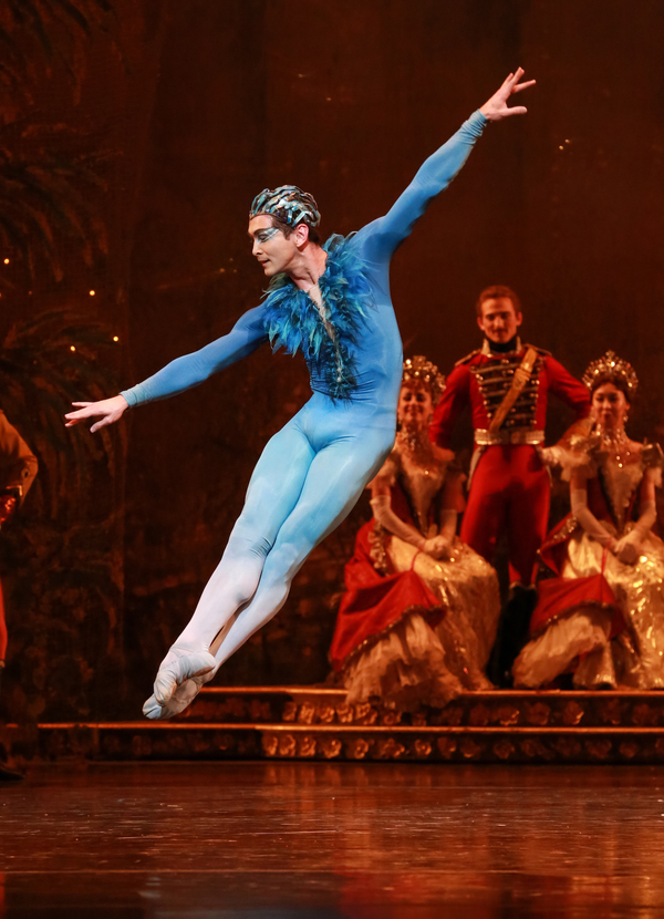 Photo Flash: Houston Ballet Revives THE SLEEPING BEAUTY Image