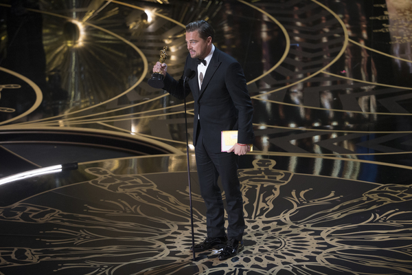 Photo Flash: Highlights from the 88th ANNUAL ACADEMY AWARDS  Image