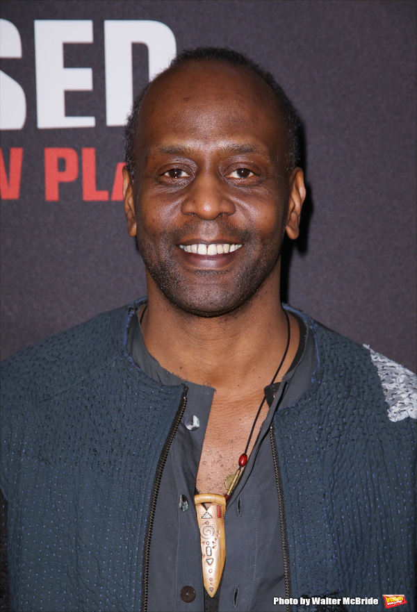 Photo Coverage: Danai Gurira & More Arrive on the Opening Night Red Carpet for ECLIPSED! Image
