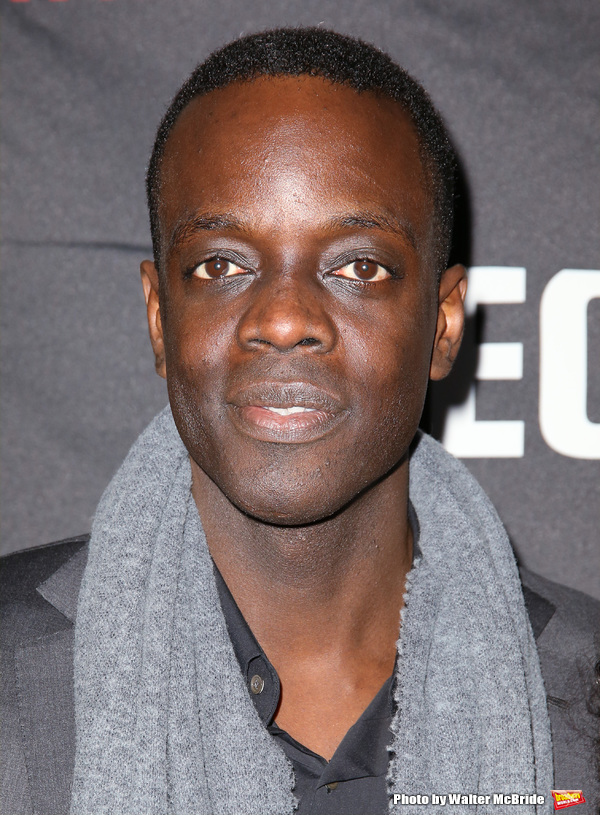 Photo Coverage: Danai Gurira & More Arrive on the Opening Night Red Carpet for ECLIPSED! Image