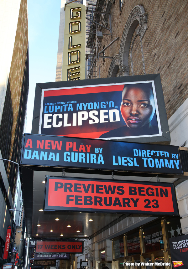 Photo Coverage: Danai Gurira & More Arrive on the Opening Night Red Carpet for ECLIPSED! Image