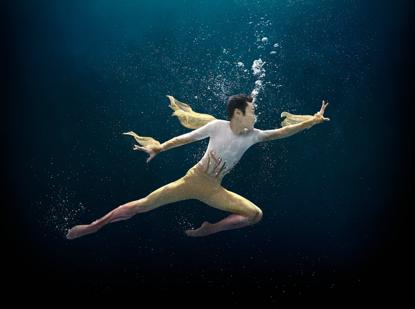 Photo Flash: First Look at the Cast of Miami City Ballet's A MIDSUMMER NIGHT'S DREAM  Image