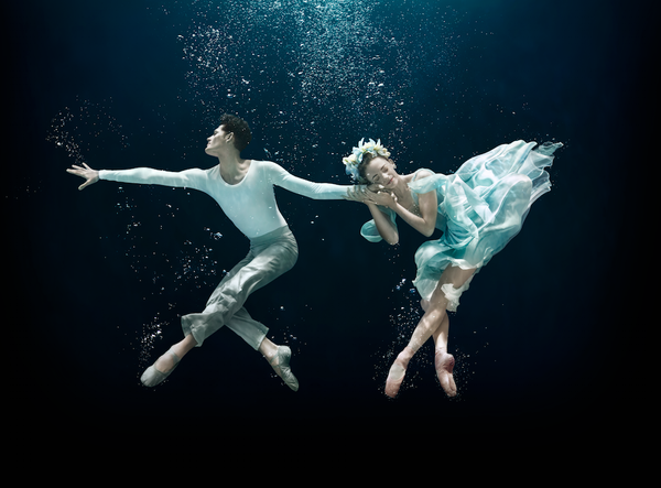 Photo Flash: First Look at the Cast of Miami City Ballet's A MIDSUMMER NIGHT'S DREAM  Image