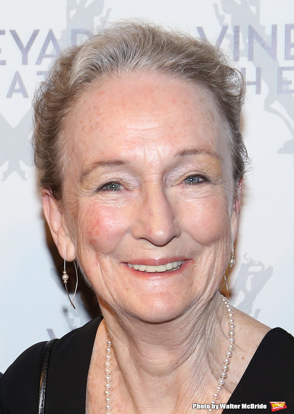 Photo Coverage: On the Red Carpet for Vineyard Theatre's 2016 Gala! Image