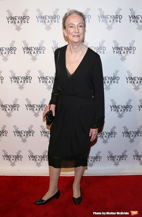 Photo Coverage: On the Red Carpet for Vineyard Theatre's 2016 Gala! Image