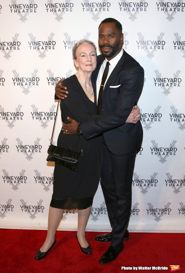 Photo Coverage: On the Red Carpet for Vineyard Theatre's 2016 Gala! Image