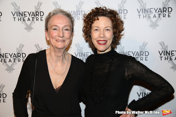 Photo Coverage: On the Red Carpet for Vineyard Theatre's 2016 Gala! Image
