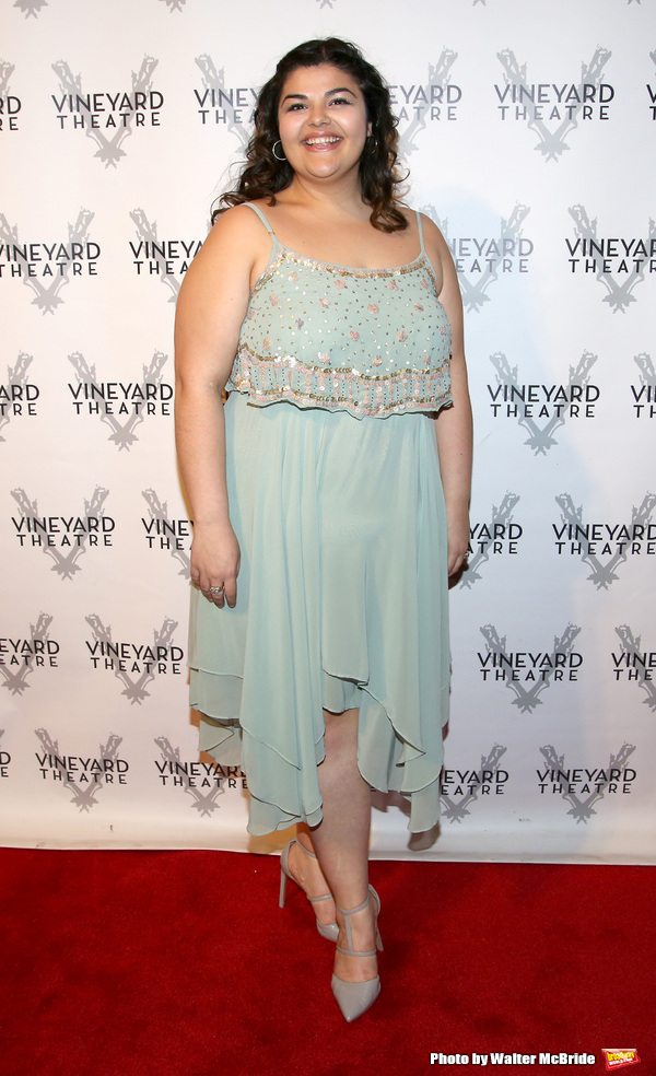 Photo Coverage: On the Red Carpet for Vineyard Theatre's 2016 Gala! Image