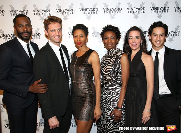 Photo Coverage: On the Red Carpet for Vineyard Theatre's 2016 Gala! Image