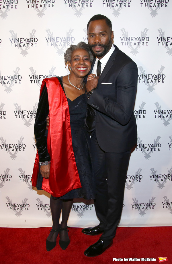 Photo Coverage: On the Red Carpet for Vineyard Theatre's 2016 Gala! Image