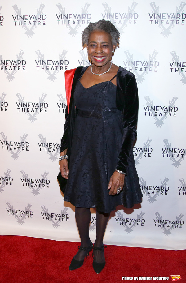 Photo Coverage: On the Red Carpet for Vineyard Theatre's 2016 Gala! Image
