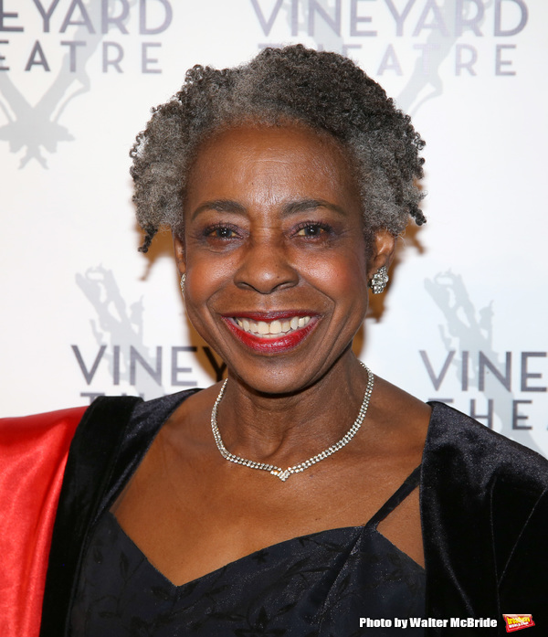 Photo Coverage: On the Red Carpet for Vineyard Theatre's 2016 Gala! Image