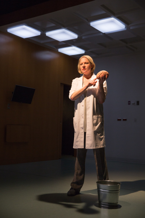 Photo Flash: First Look at Lucy Prebble's THE EFFECT at Barrow Street Theatre Image