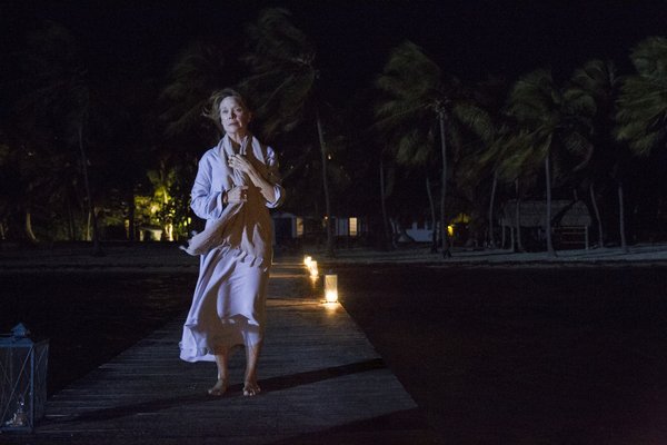 Photo Flash: First Look at Norbert Leo Butz & More in BLOODLINE Season 2 Image