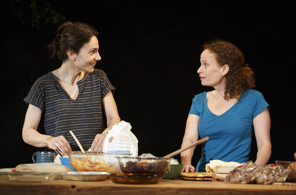 Photo Flash: First Look at Anne Washburn's ANTLIA PNEUMATICA at Playwrights Horizons Image