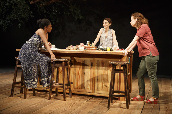 Photo Flash: First Look at Anne Washburn's ANTLIA PNEUMATICA at Playwrights Horizons Image