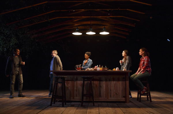 Photo Flash: First Look at Anne Washburn's ANTLIA PNEUMATICA at Playwrights Horizons Image