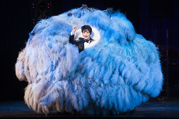 Photo Flash: BROADWAY BACKWARDS, Featuring White, Rivera, Johnson, Brooks and More, Raises Record $480K for BC/EFA Image