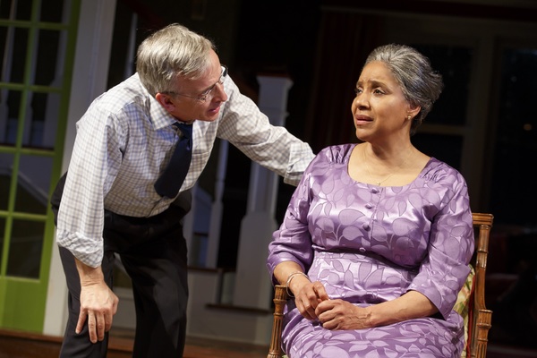 Photo Flash: First Look at Phylicia Rashad, Robert Joy & More in HEAD OF PASSES at The Public Image