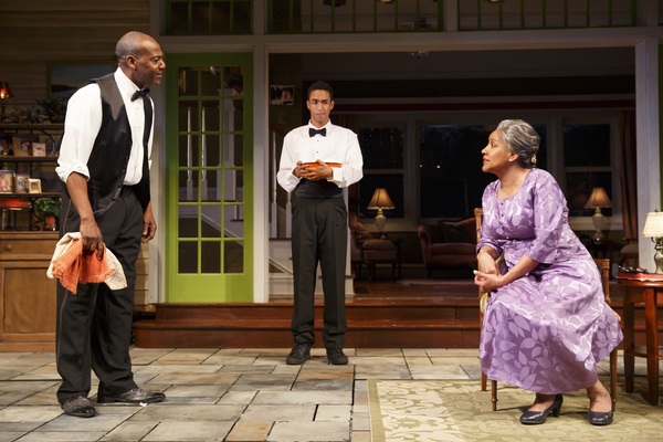 Photo Flash: First Look at Phylicia Rashad, Robert Joy & More in HEAD OF PASSES at The Public Image