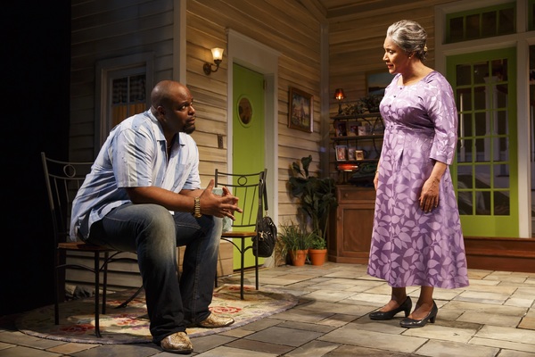 Photo Flash: First Look at Phylicia Rashad, Robert Joy & More in HEAD OF PASSES at The Public Image