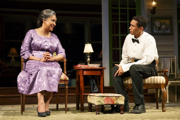 Photo Flash: First Look at Phylicia Rashad, Robert Joy & More in HEAD OF PASSES at The Public Image