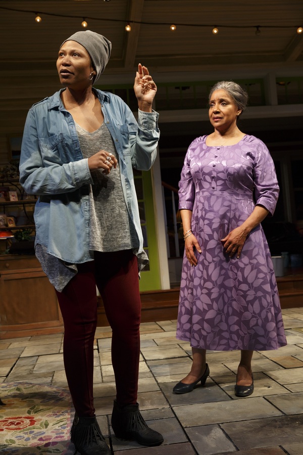 Photo Flash: First Look at Phylicia Rashad, Robert Joy & More in HEAD OF PASSES at The Public Image