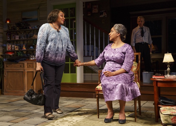 Photo Flash: First Look at Phylicia Rashad, Robert Joy & More in HEAD OF PASSES at The Public Image