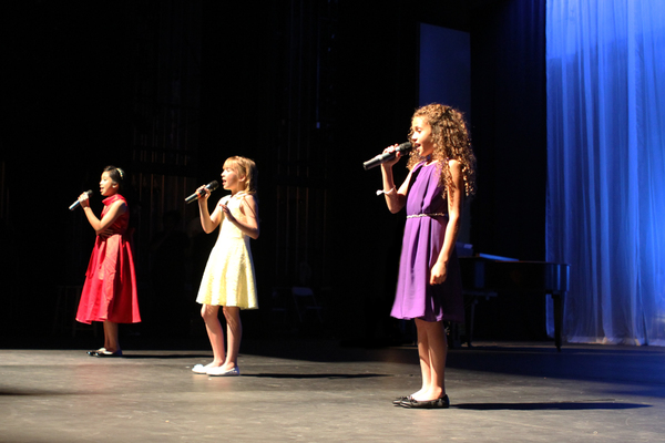 Photo Flash: Broadway, TV, Film, Music and Dance Stars Take Part in KOTA's LYRICS FOR LIFE Image