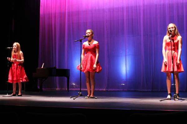 Photo Flash: Broadway, TV, Film, Music and Dance Stars Take Part in KOTA's LYRICS FOR LIFE Image