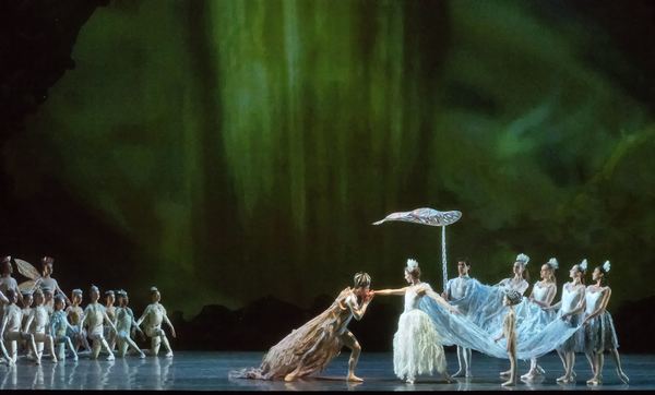 Photo Flash: MCB's A MIDSUMMER NIGHT'S DREAM Features Michele Oka Doner's Ocean-Inspired Costumes 