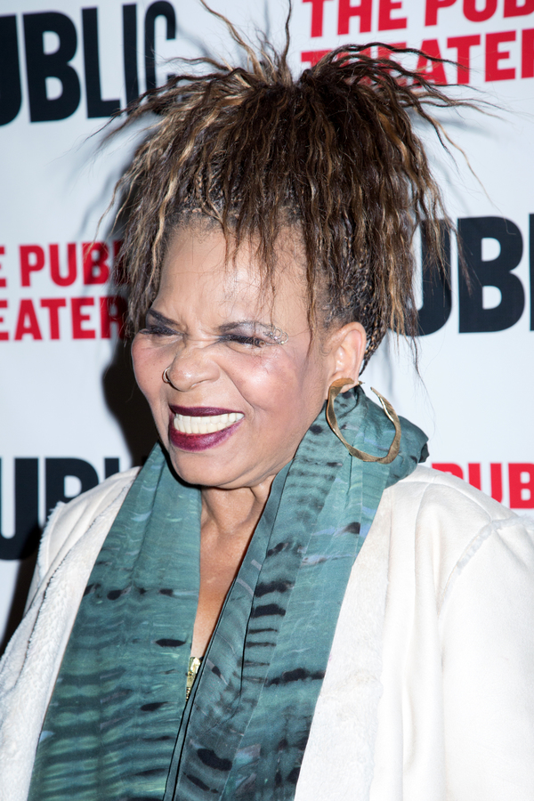 Photo Coverage: Phylicia Rashad & More Celebrate Opening Night of Public Theater's HEAD OF PASSES Image