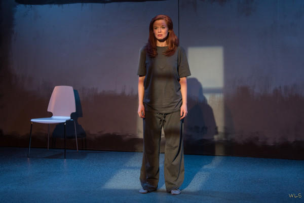 Photo Flash: First Look at MAPLE AND VINE at Firehouse Theatre Image