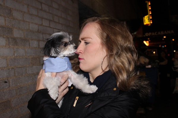 Photo Flash: Tinkerbelle the Dog Follows Her Nose to Broadway's WAITRESS Image
