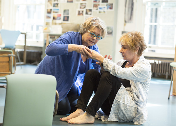 Photo Flash: In Rehearsal with Zoe Wanamaker and Cast for ELEGY at Donmar Warehouse Image
