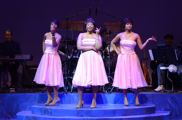 Photo Flash: First Look at DON'T TAKE ME OVER at Black Ensemble Theater Image
