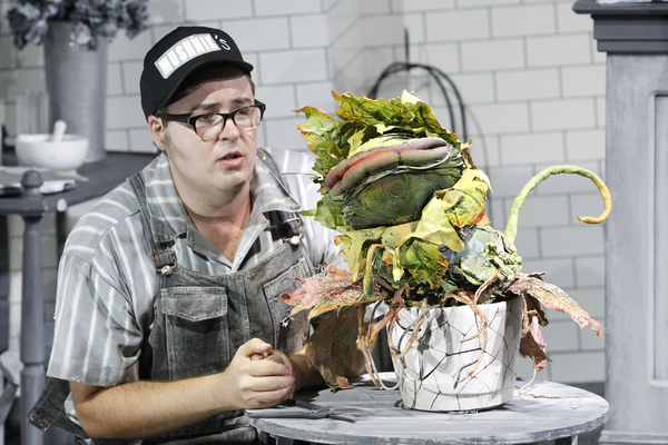 Photo Flash: First Look at Brent Hill, Esther Hannaford, and More in Adelaide's LITTLE SHOP OF HORRORS 