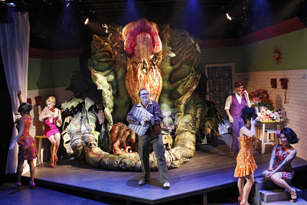 Photo Flash: First Look at Brent Hill, Esther Hannaford, and More in Adelaide's LITTLE SHOP OF HORRORS Image