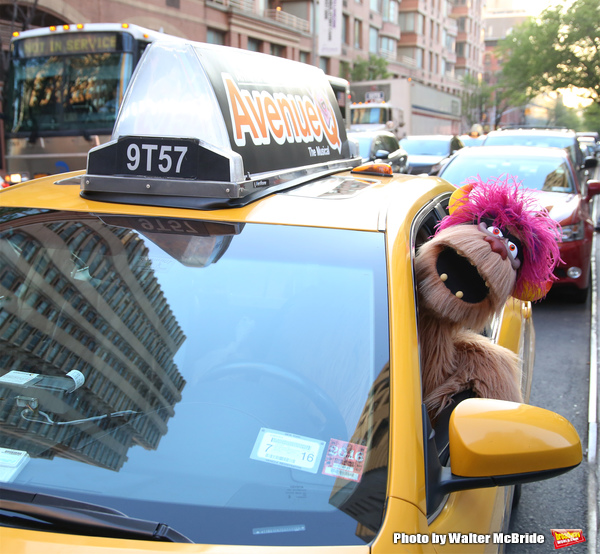 Photo Coverage: Trekkie Monster Debuts the New AVENUE Q Taxi! Image
