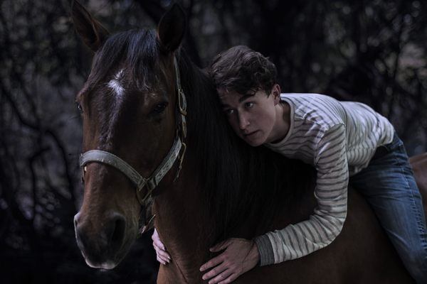Photo Flash: Meet the Star of EQUUS, Coming to Orlando This Summer 